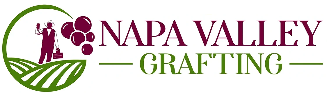 Napa Valley Grafting